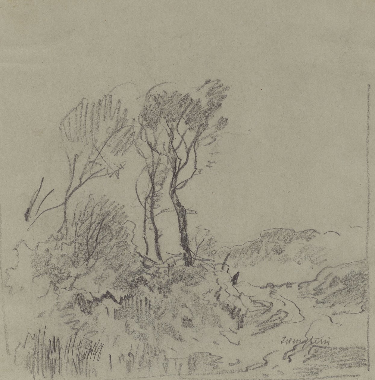 Studi di alberi da Josef Wenglein