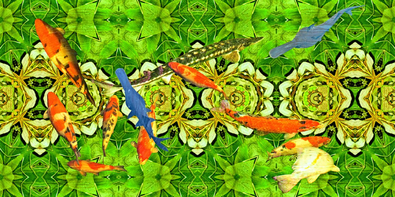 Creature: Pesci koi nel giardino subacqueo 3 da Josef Johann Michel