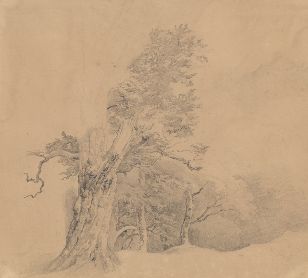 Gruppo di alberi da Josef Kriehuber