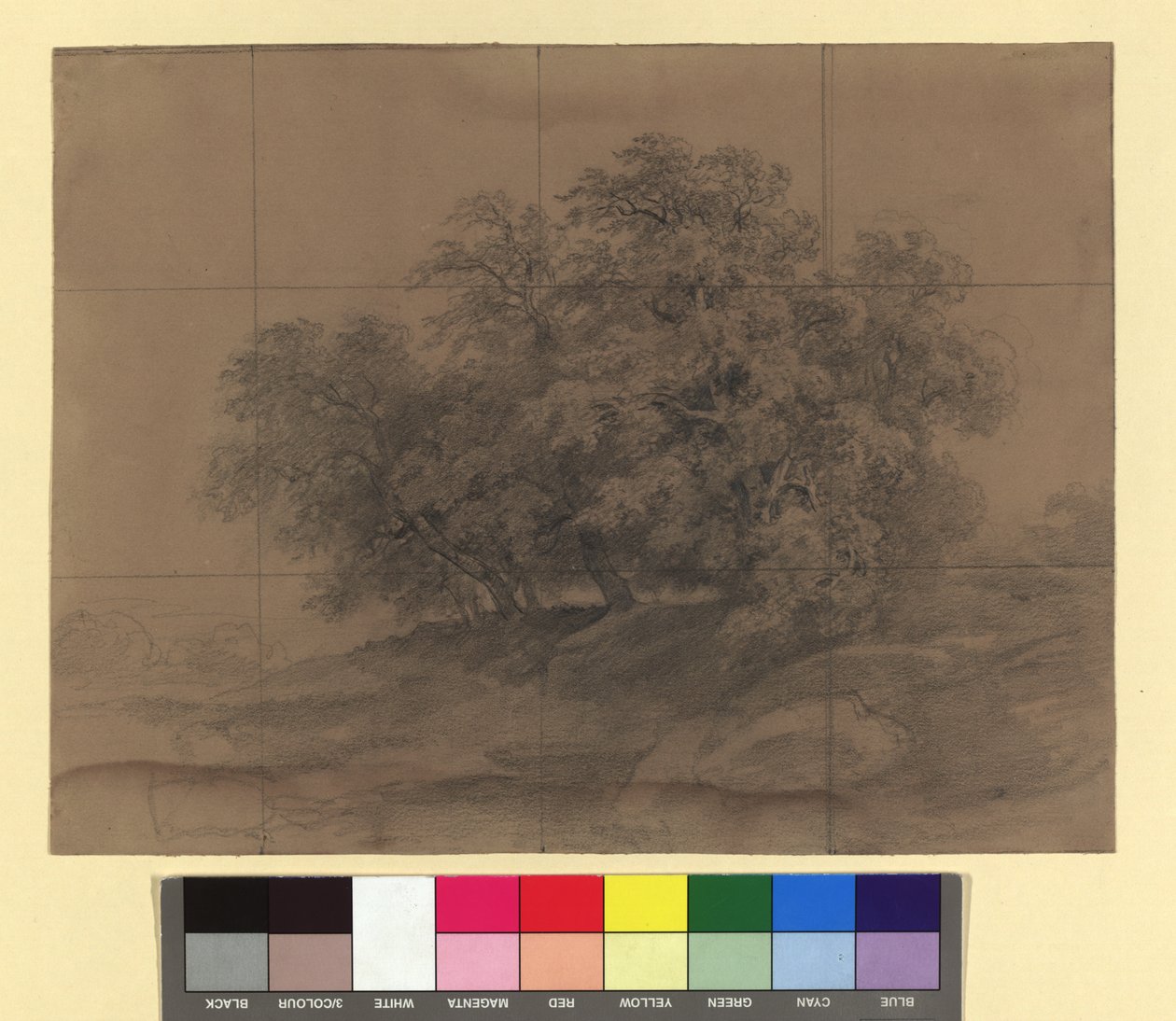 Gruppo di alberi - con griglia di ingrandimento da Josef Kriehuber