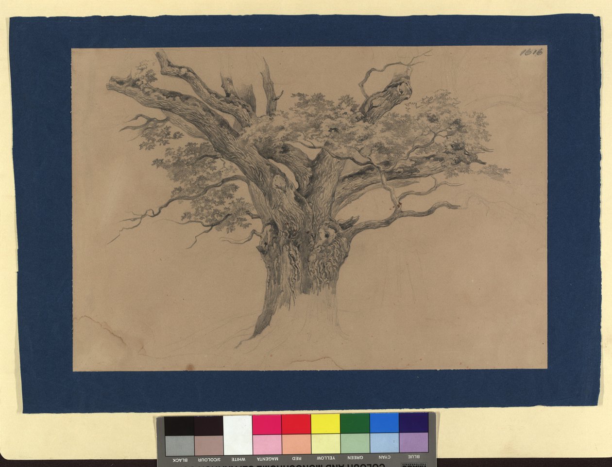 Studio sugli alberi da Josef Kriehuber