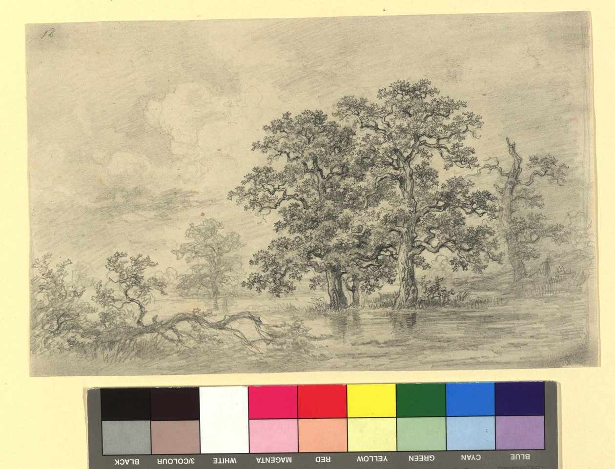 Paesaggio fluviale con alberi da Josef Kriehuber