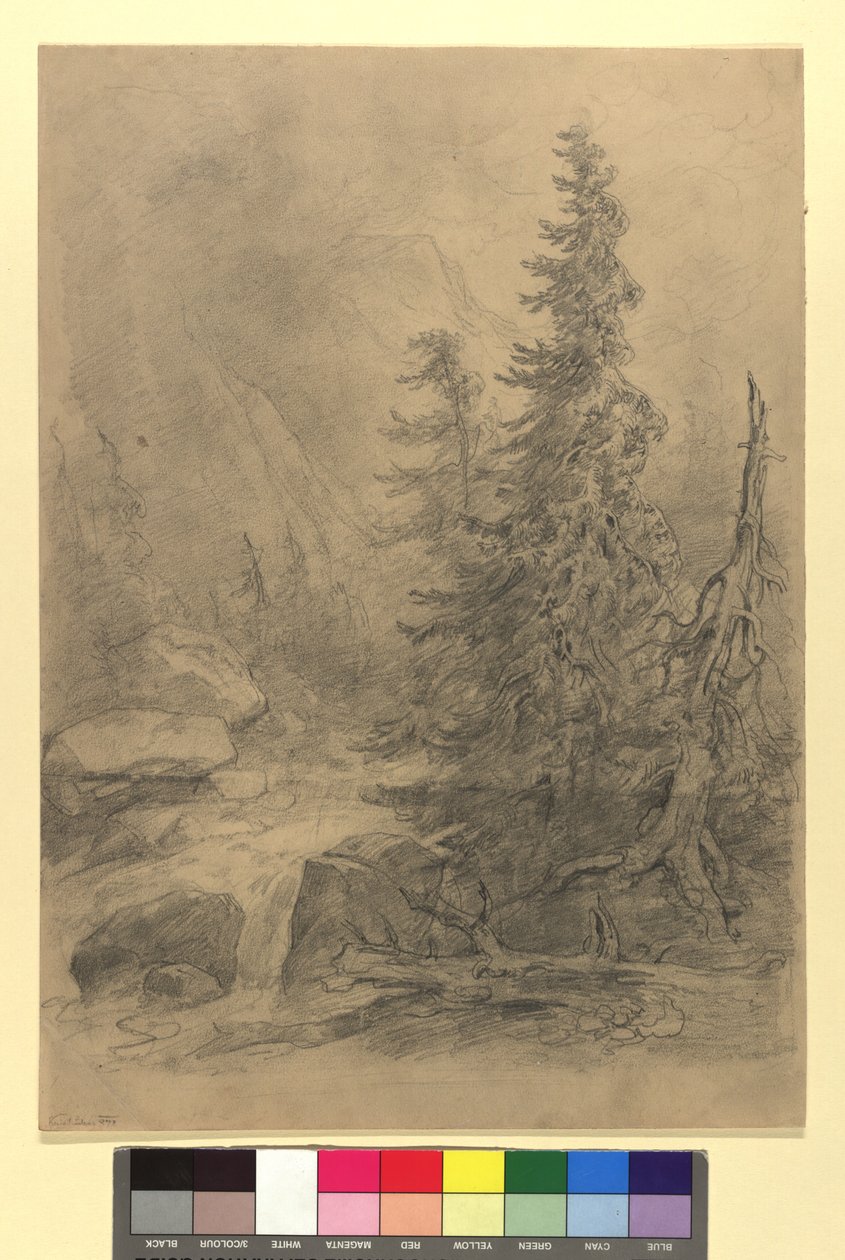 Torrente di montagna con conifere da Josef Kriehuber