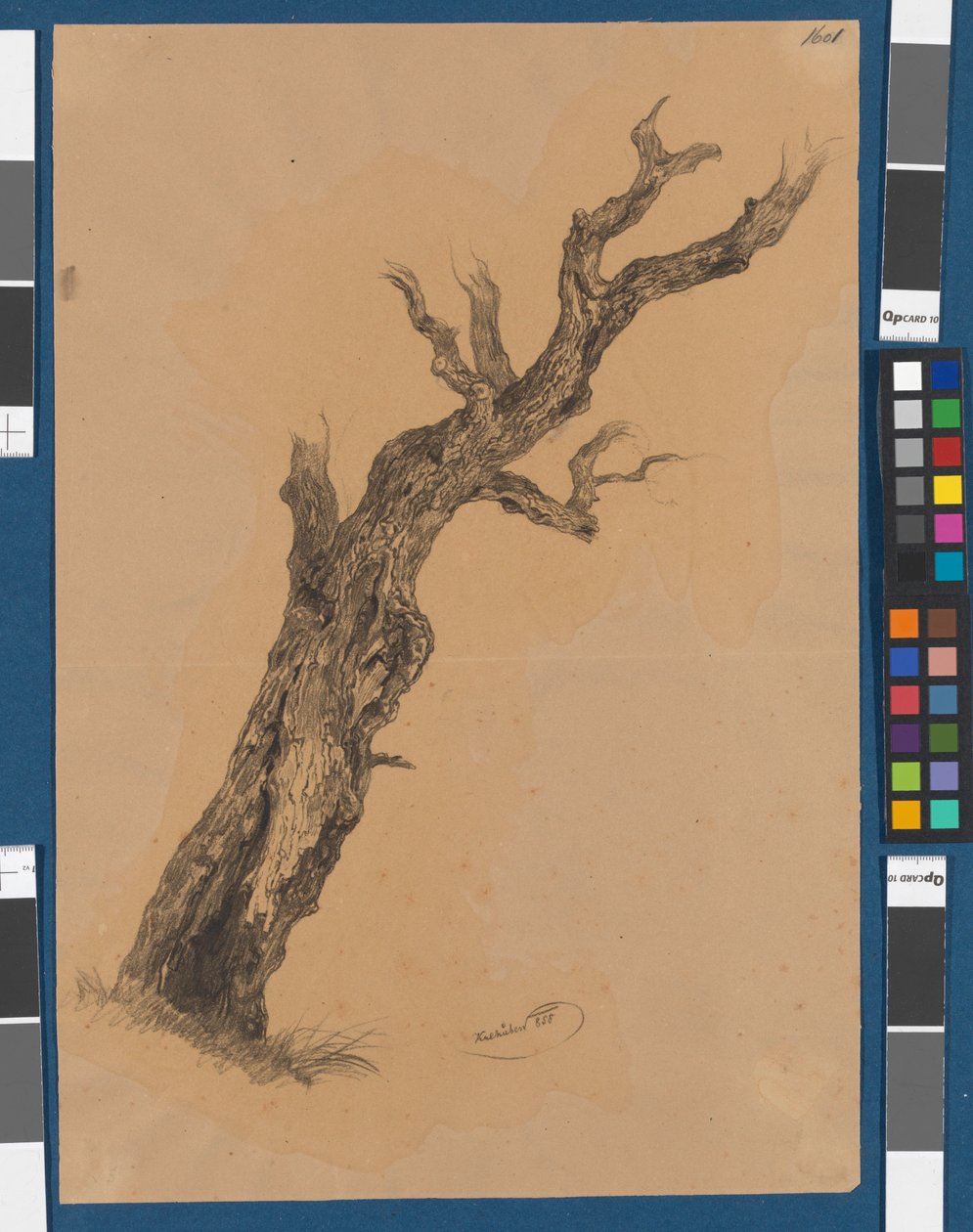 Albero spoglio - Studio di un albero da Josef Kriehuber