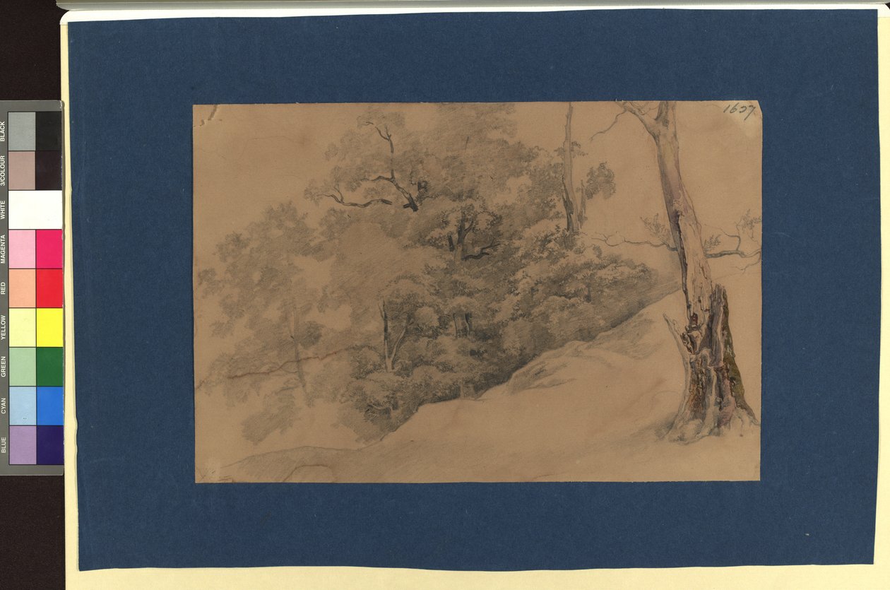 Landschaftsstudie da Josef Kriehuber