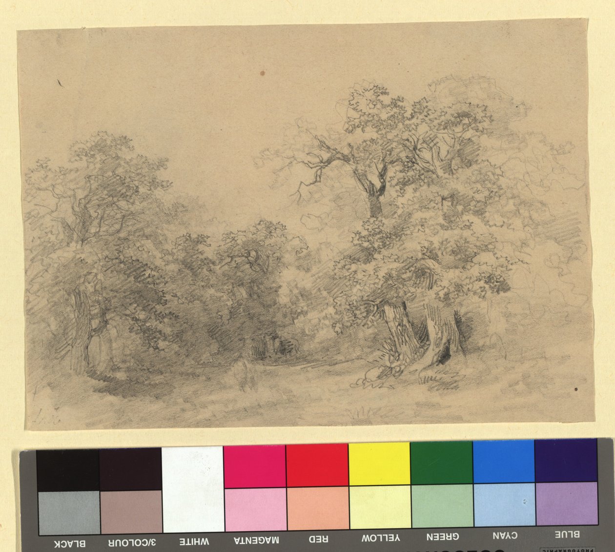 Paesaggio boschivo da Josef Kriehuber