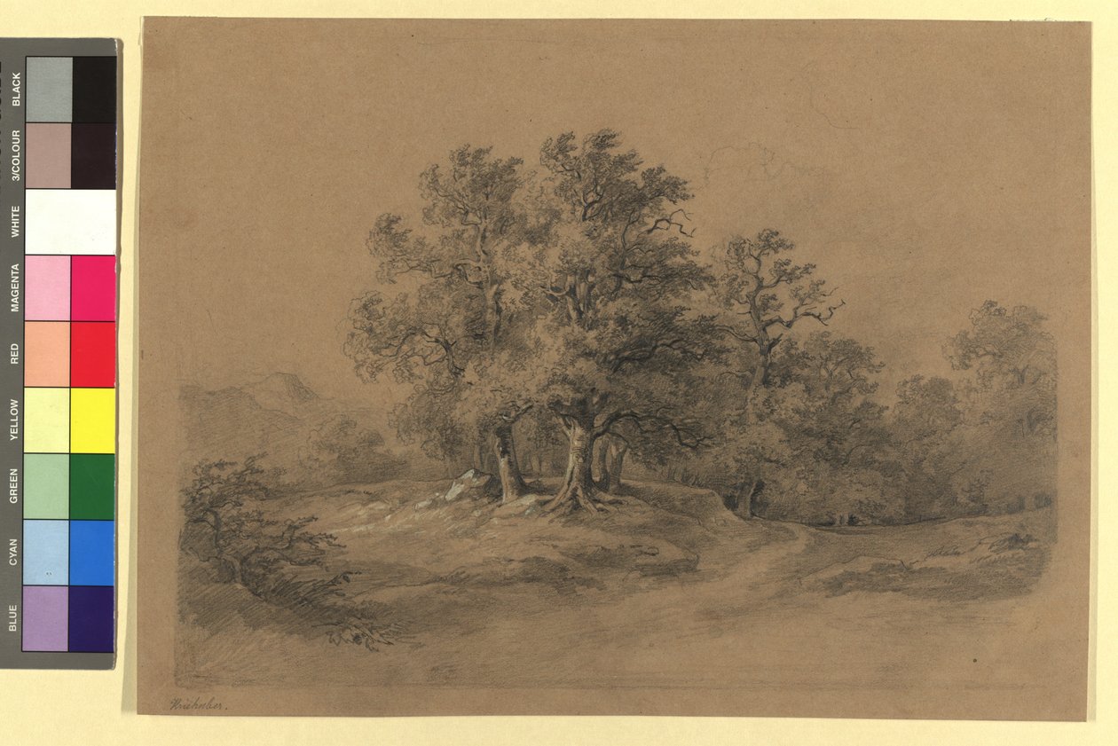 Paesaggio boschivo da Josef Kriehuber