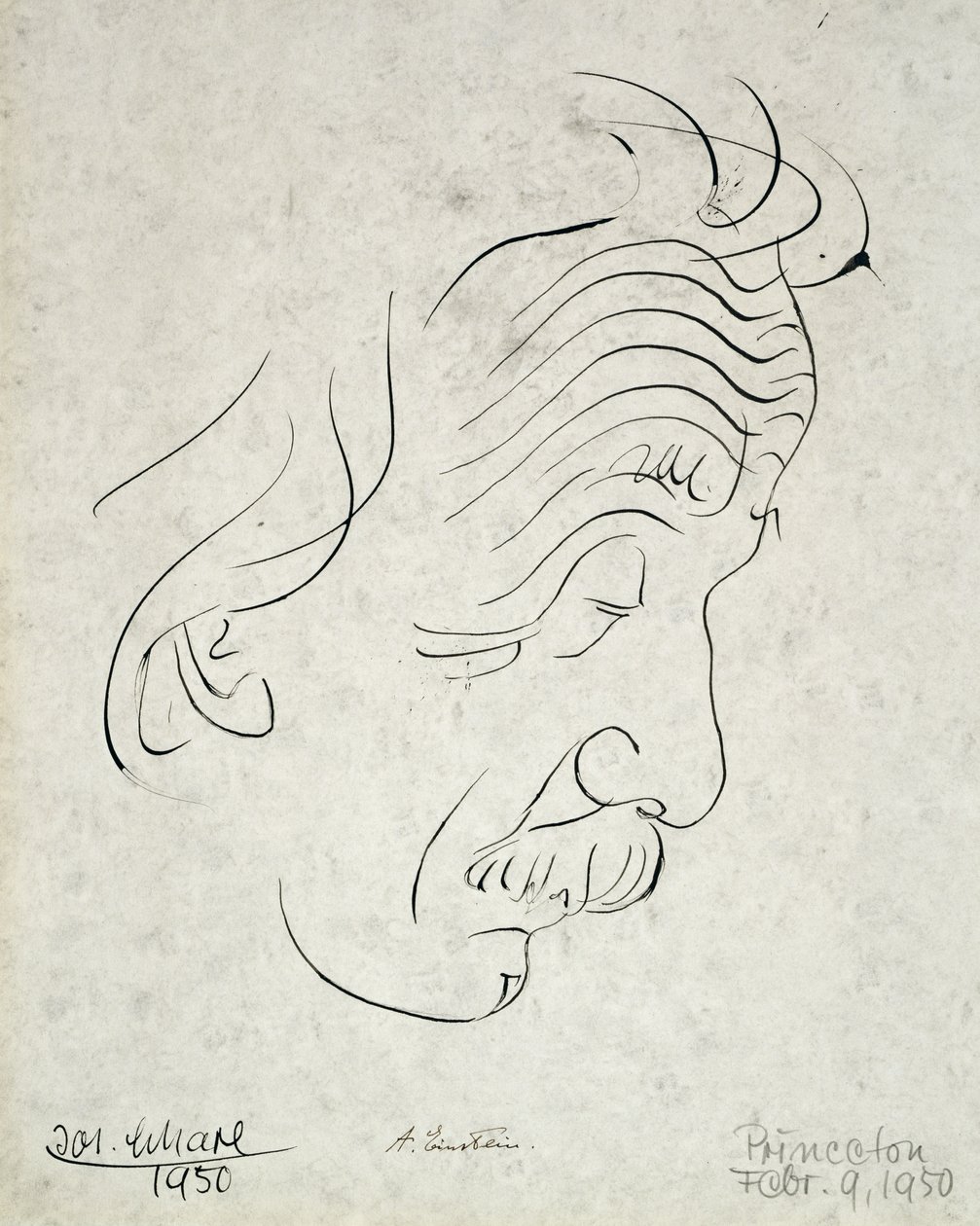 Albert Einstein da Josef Scharl