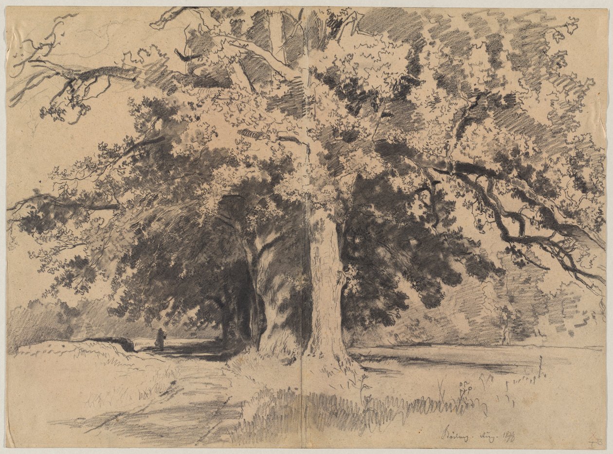 Alberi alti presso Böding da Josef Wenglein