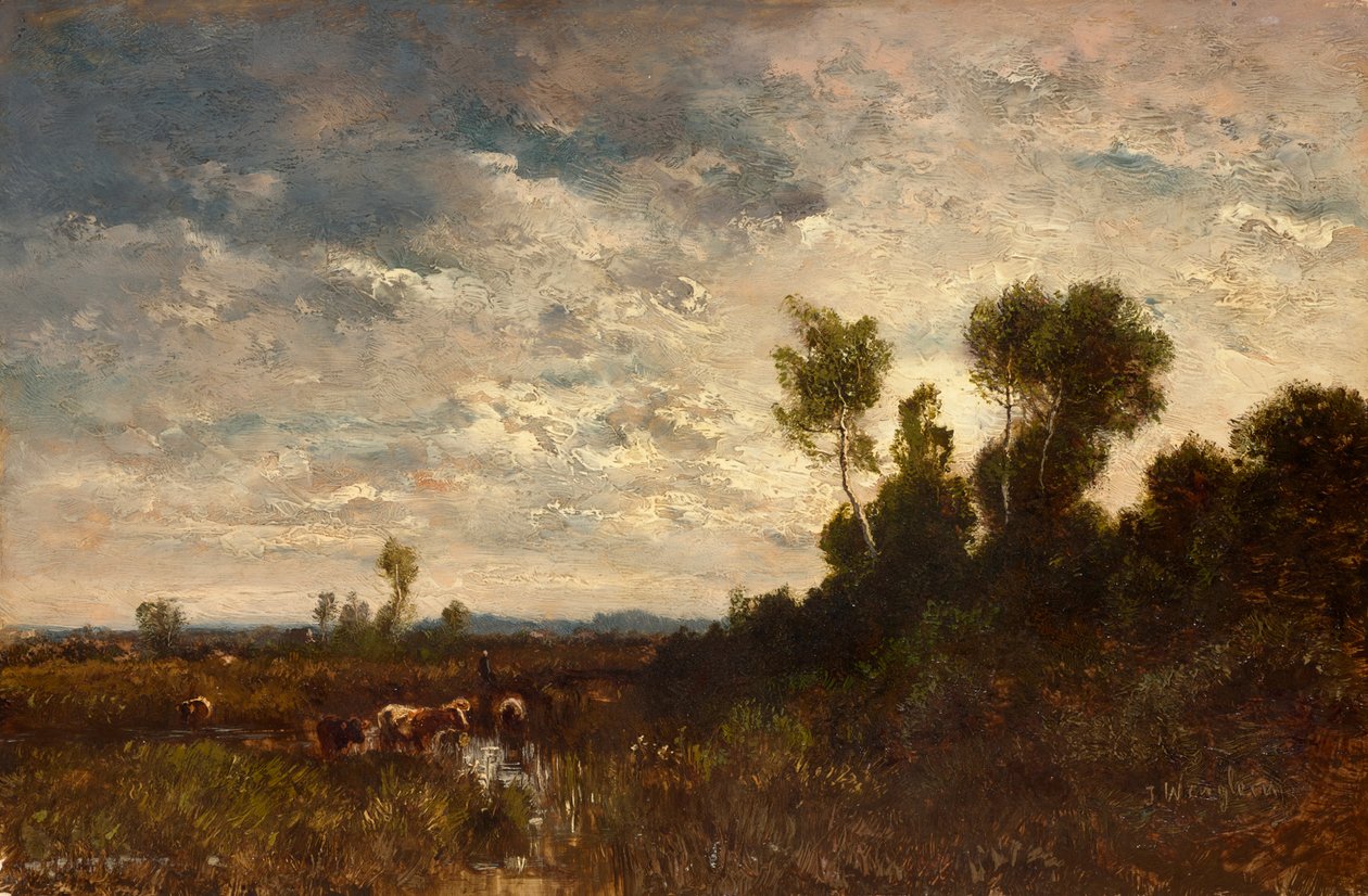 Paesaggio di brughiera da Josef Wenglein