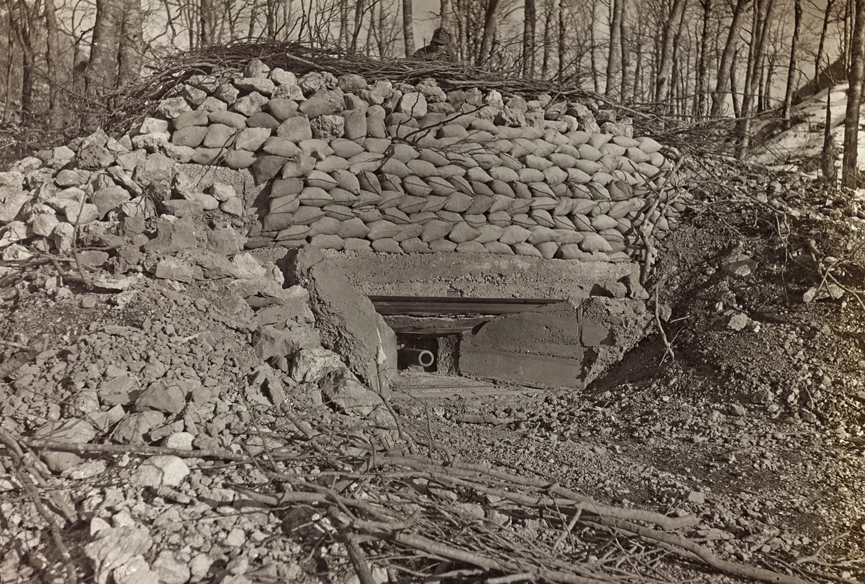 Album "Meine weltkriegs - Erinnerungen South-West Front (Carinzia, Italia, Trentino-Alto Adige) 31/03/1915-12/11/1918 - Josef Zohles Wien": bunker militare con cannone da Josef Zohles