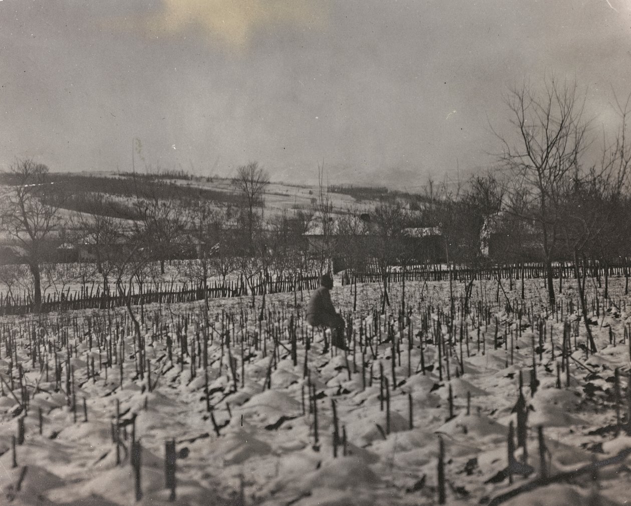 Cimitero militare da Josef Zohles