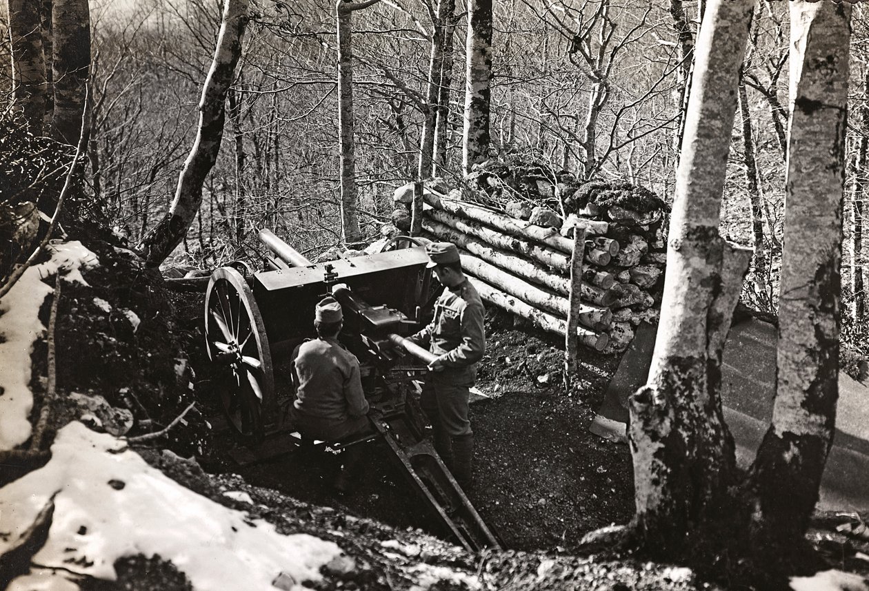 Soldati con cannone da Josef Zohles