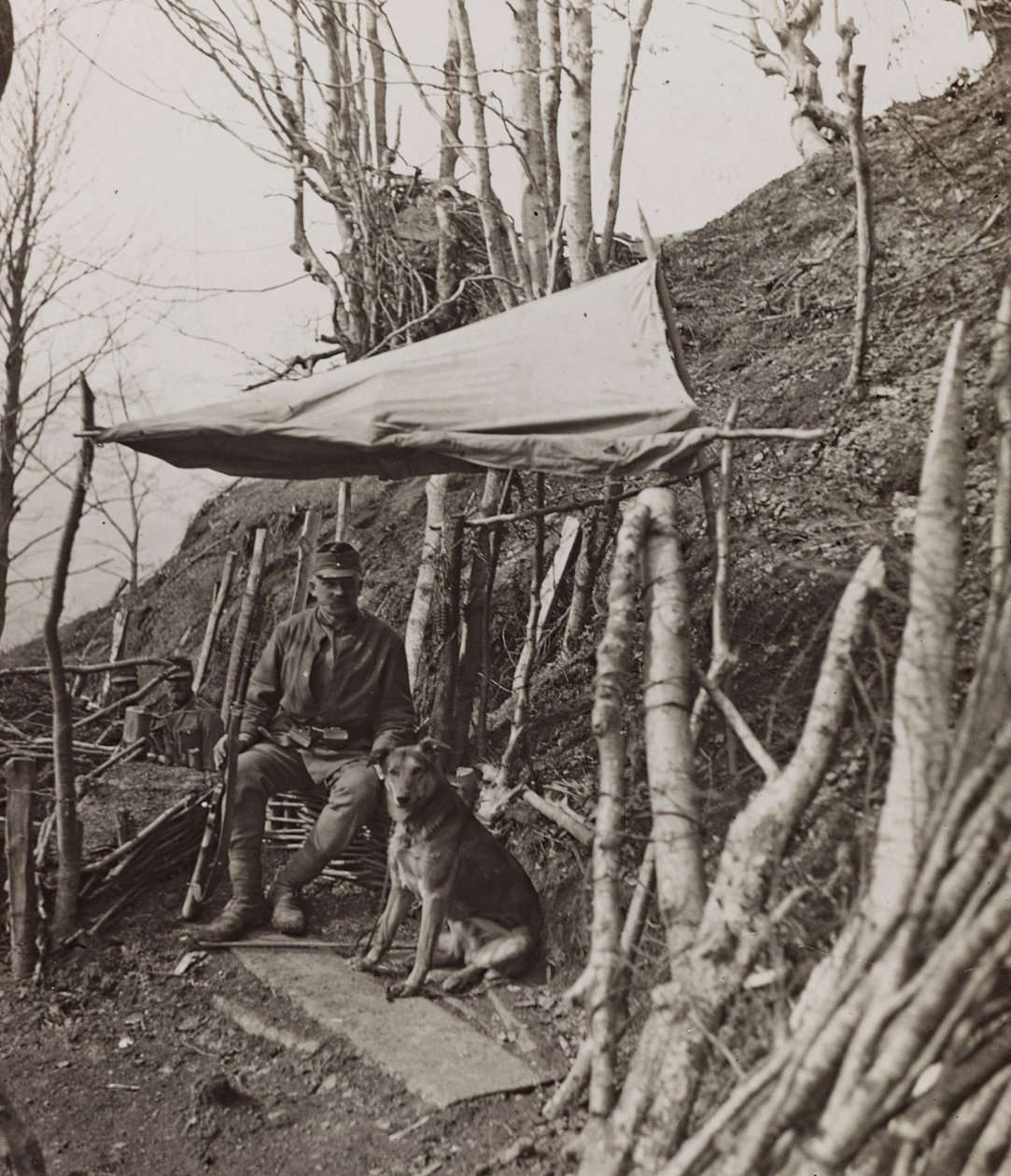 Album "Meine weltkriegs - Erinnerungen South-West Front (Carinzia, Italia, Trentino-Alto Adige) 31/03/1915-12/11/1918 - Josef Zohles Wien": cane militare sotto una tenda (foto b/n) da Josef Zohles