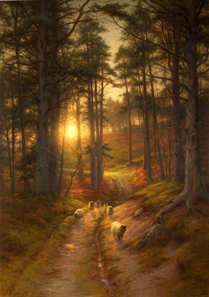 Il sole tramonta rapidamente a ovest da Joseph Farquharson