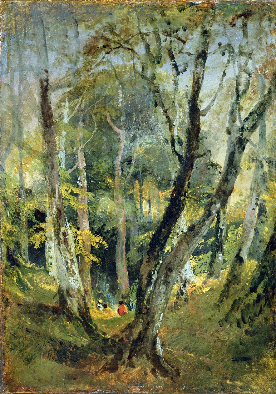 Un bosco di faggi con zingari seduti in lontananza, c.1799-1801 da Joseph Mallord William Turner