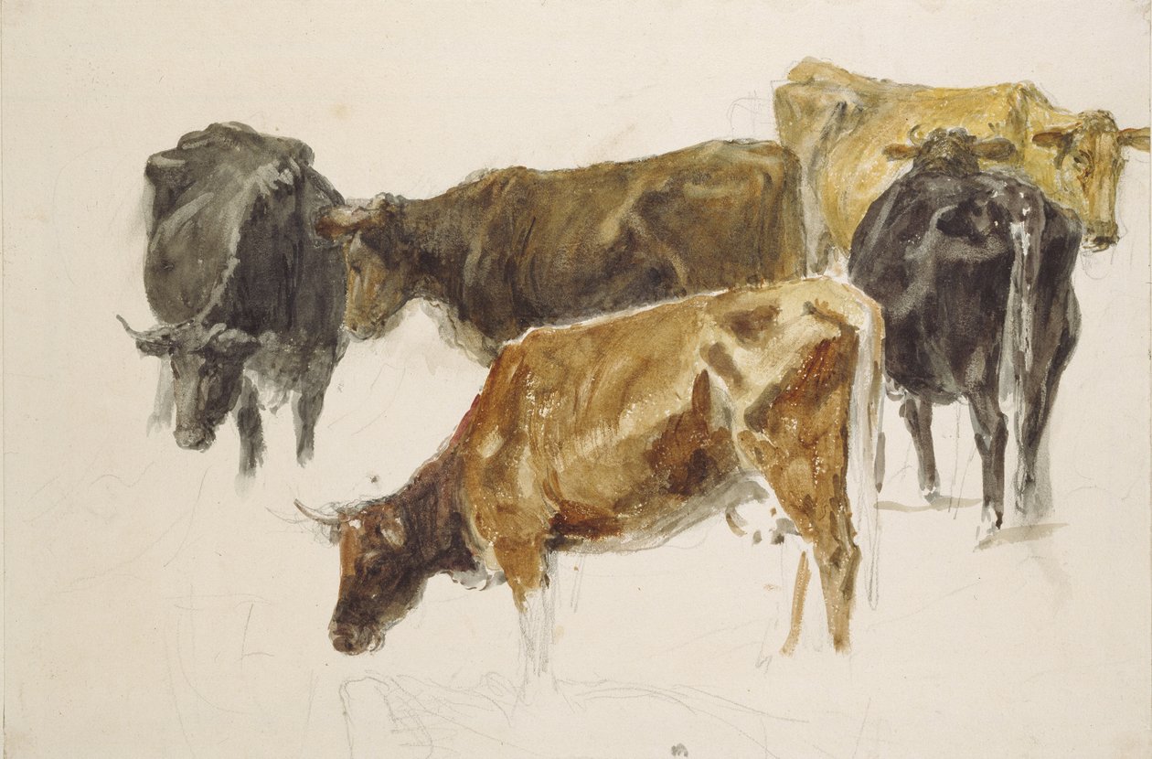 Studio di un gruppo di mucche, c. 1801 da Joseph Mallord William Turner