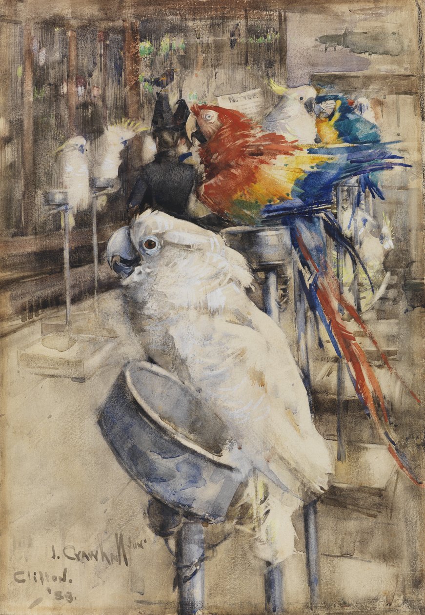 La Voliera, Clifton da Joseph Crawhall