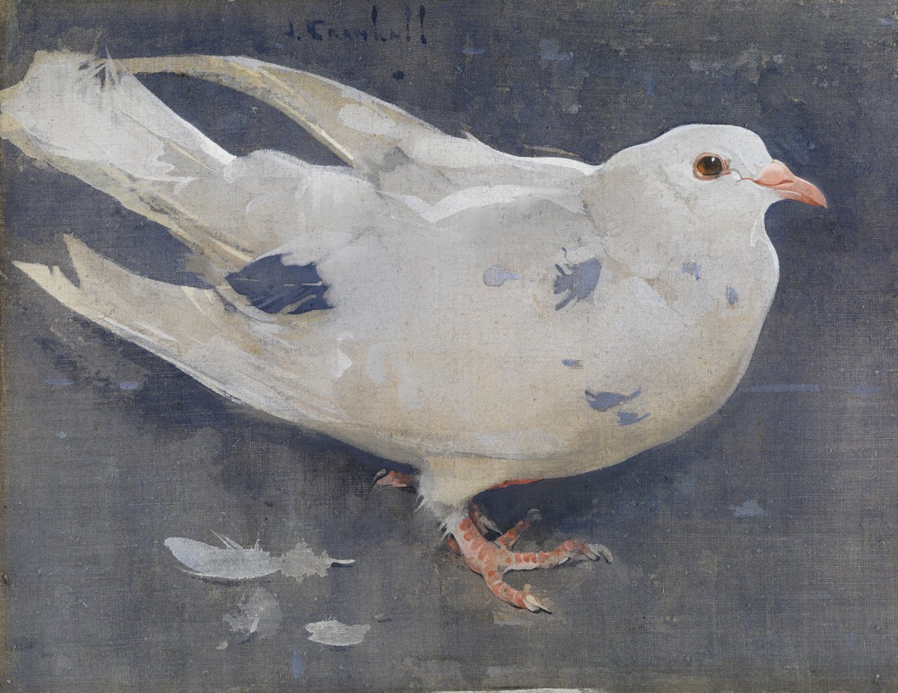 Il piccione da Joseph Crawhall