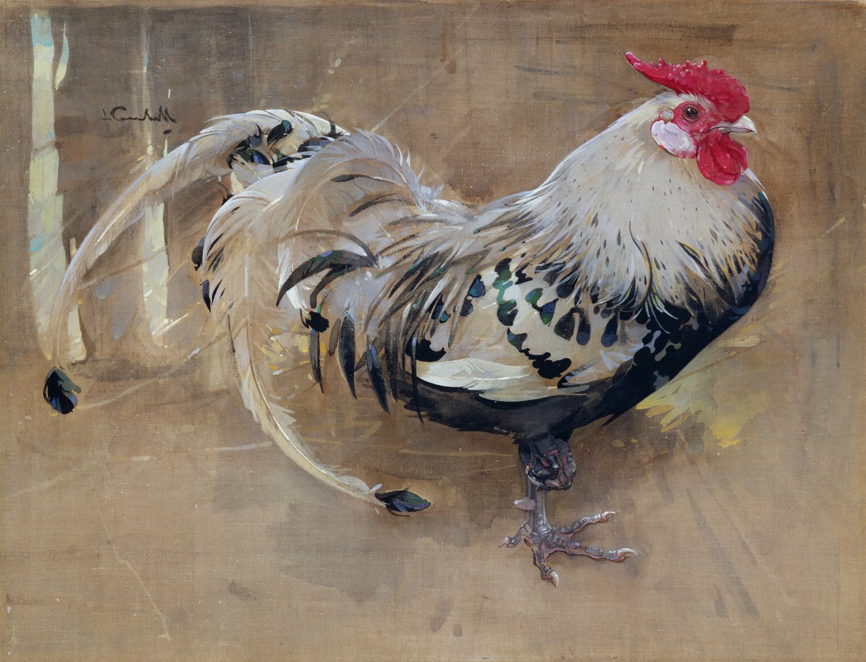 Il Gallo Spagnolo da Joseph Crawhall