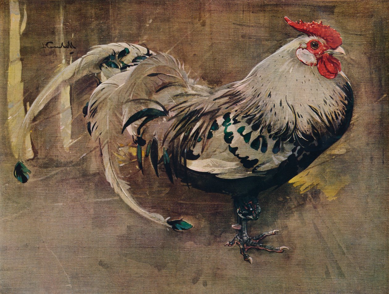 Il gallo scintillante, 1903 1935 da Joseph Crawhall