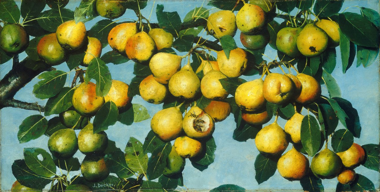 Pere maturanti da Joseph Decker