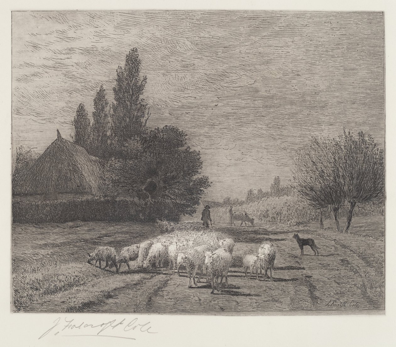 Strada del villaggio in Francia con un gregge di pecore da Joseph Foxcroft Cole