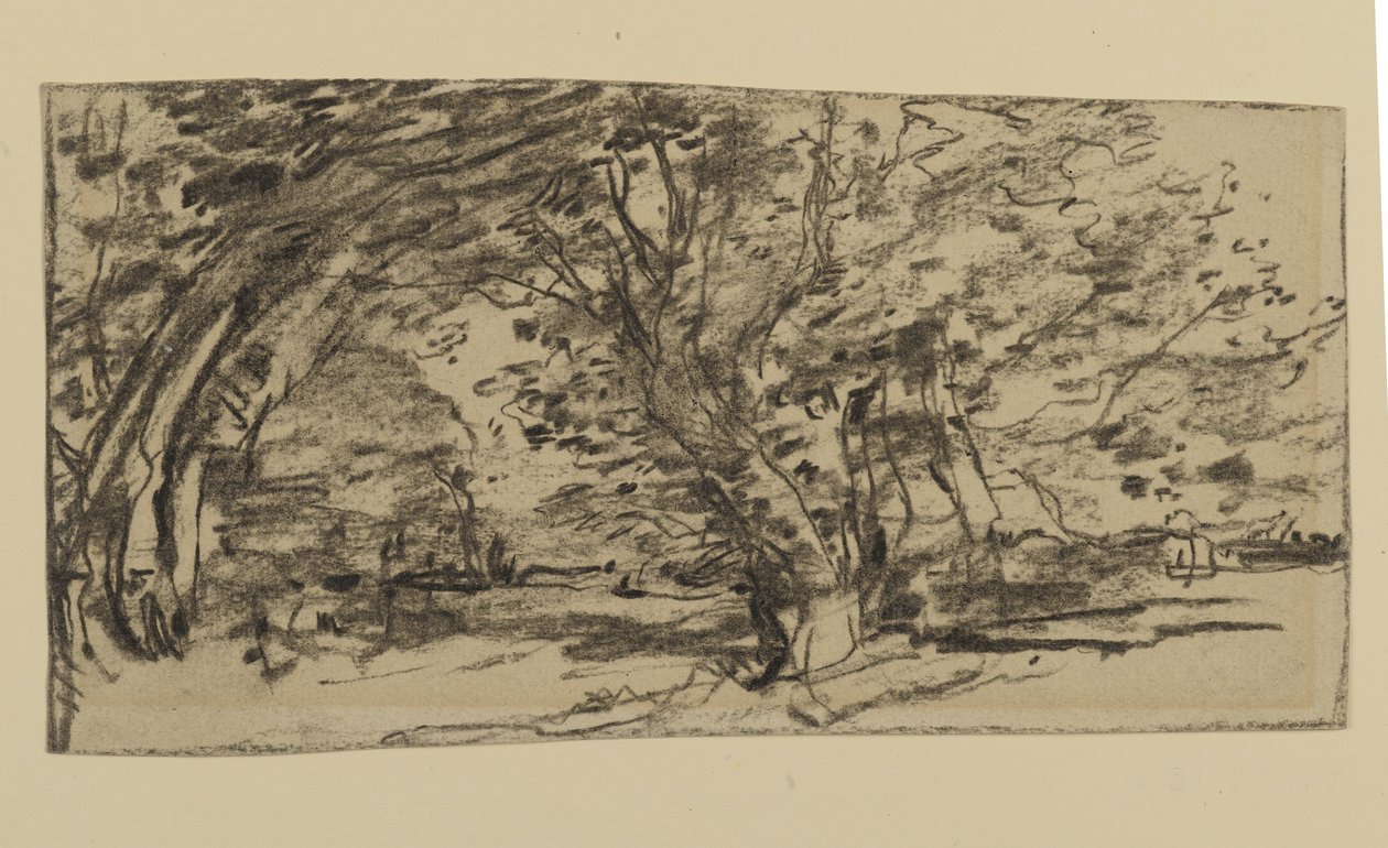 Studio di alberi, 1870 da Joseph Frank Currier
