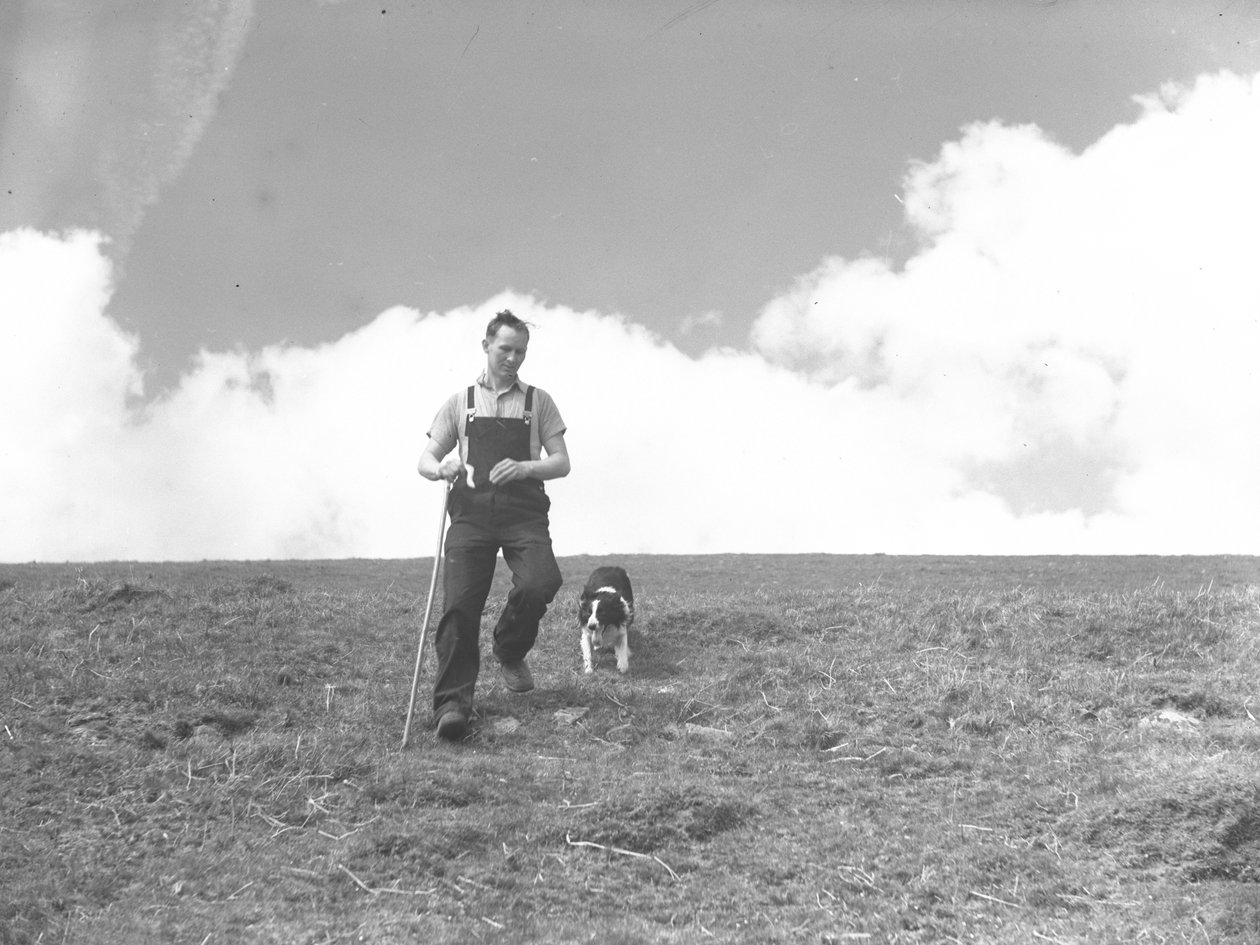 Un uomo e il suo cane da pastore a passeggio a Martindale da Joseph Hardman