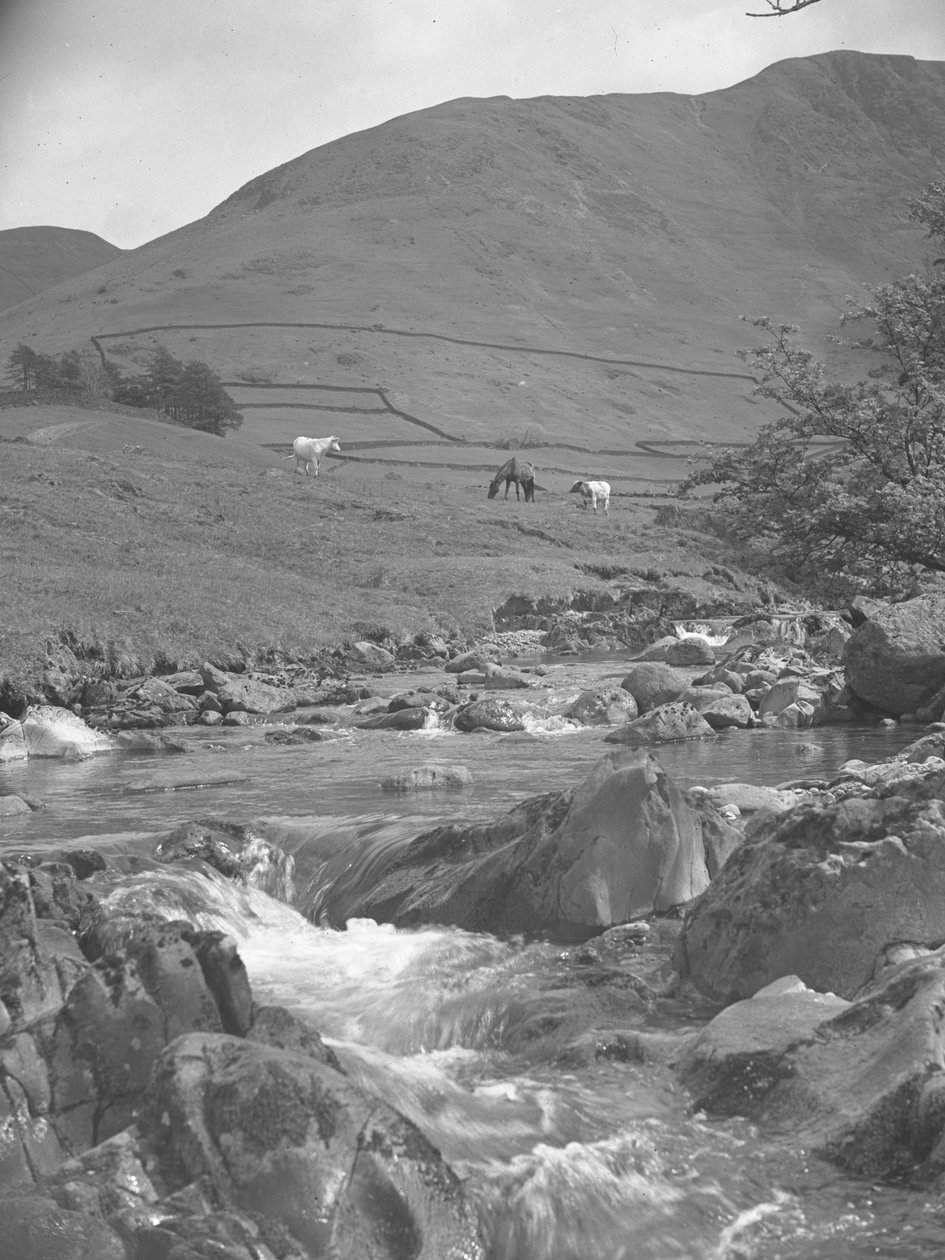 Una veduta di un cavallo e due mucche al pascolo vicino a un ruscello con le colline sullo sfondo da Joseph Hardman