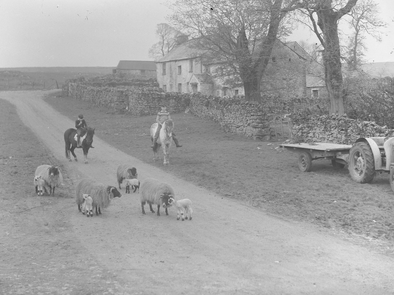Veduta di pecore, agnelli, due bambini su pony, trattore e rimorchio ed edificio da Joseph Hardman