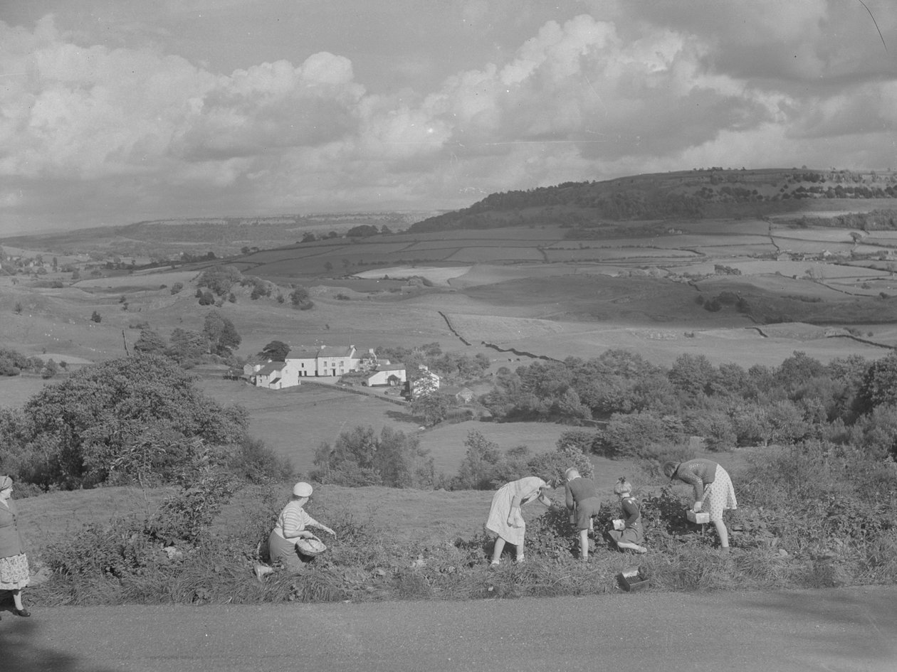 Bambini e adulti che raccolgono le more con vista sulla Winster Valley da Joseph Hardman