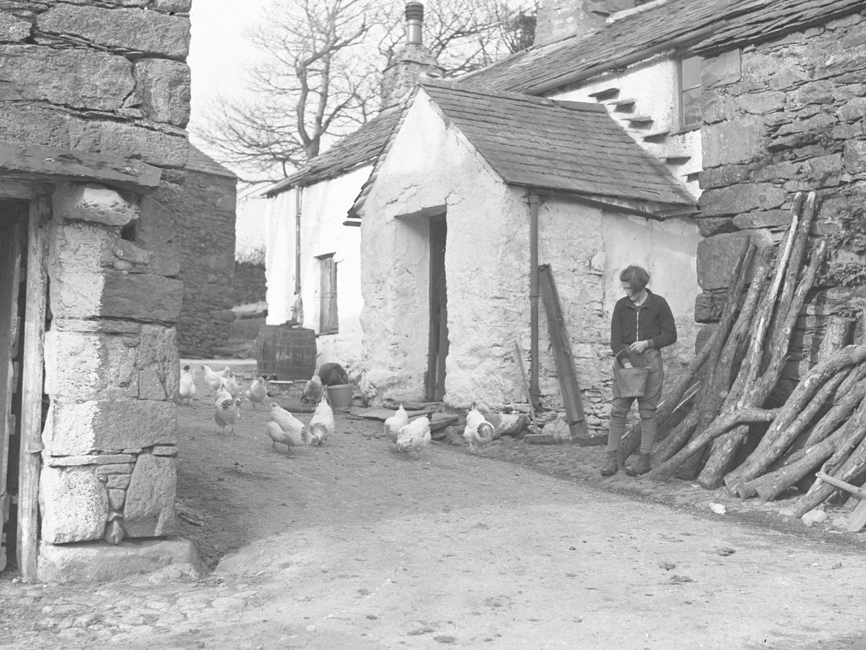 Ragazza di terra che nutre il pollame in una fattoria a Ulpha, nelle Duddon Fells da Joseph Hardman