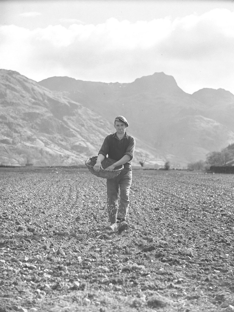 Uomo che semina da un cesto di rifiuti con alle spalle Langdales da Joseph Hardman