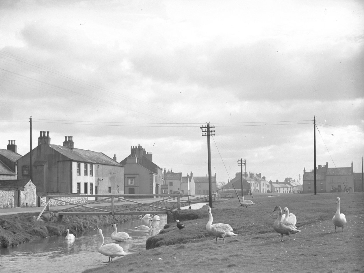 Strada di Allonby con cigni e ruscello da Joseph Hardman