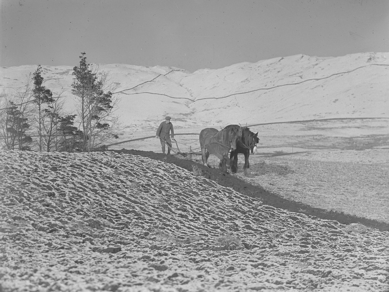 Due cavalli che arano nella valle di Lune da Joseph Hardman