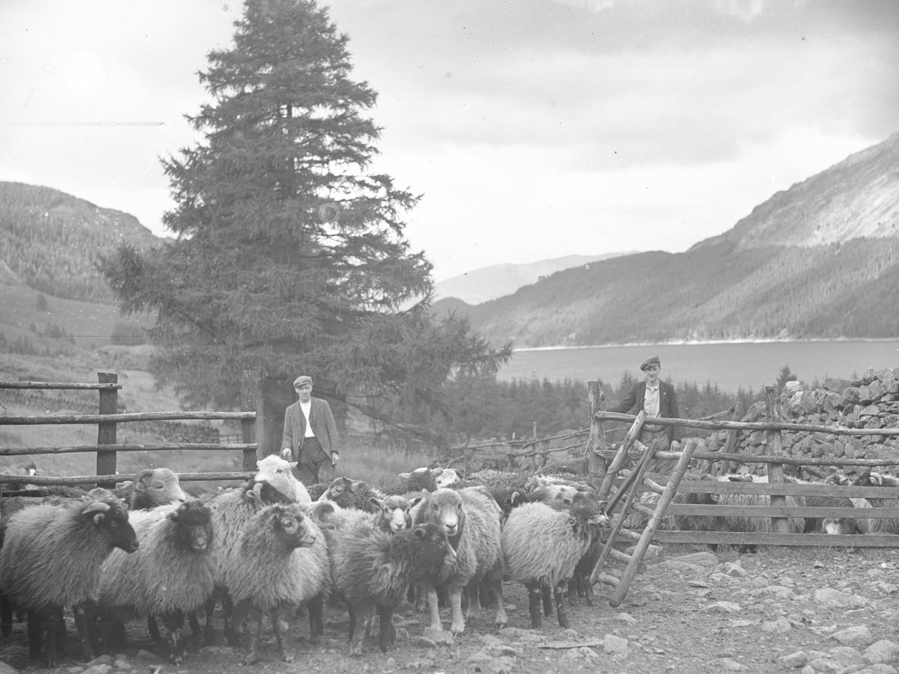 Due pastori con un gregge di pecore e Thirlmere alle spalle da Joseph Hardman