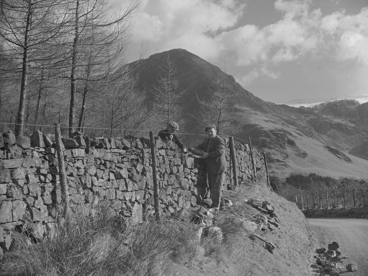 Due muratori al lavoro sul muro da Joseph Hardman