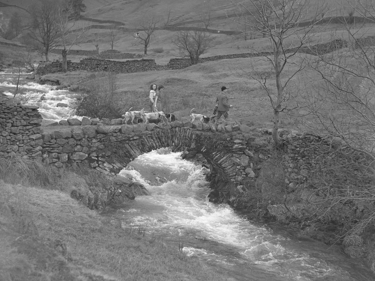 Due donne e un uomo camminano su un ponte con i segugi ai loro piedi da Joseph Hardman