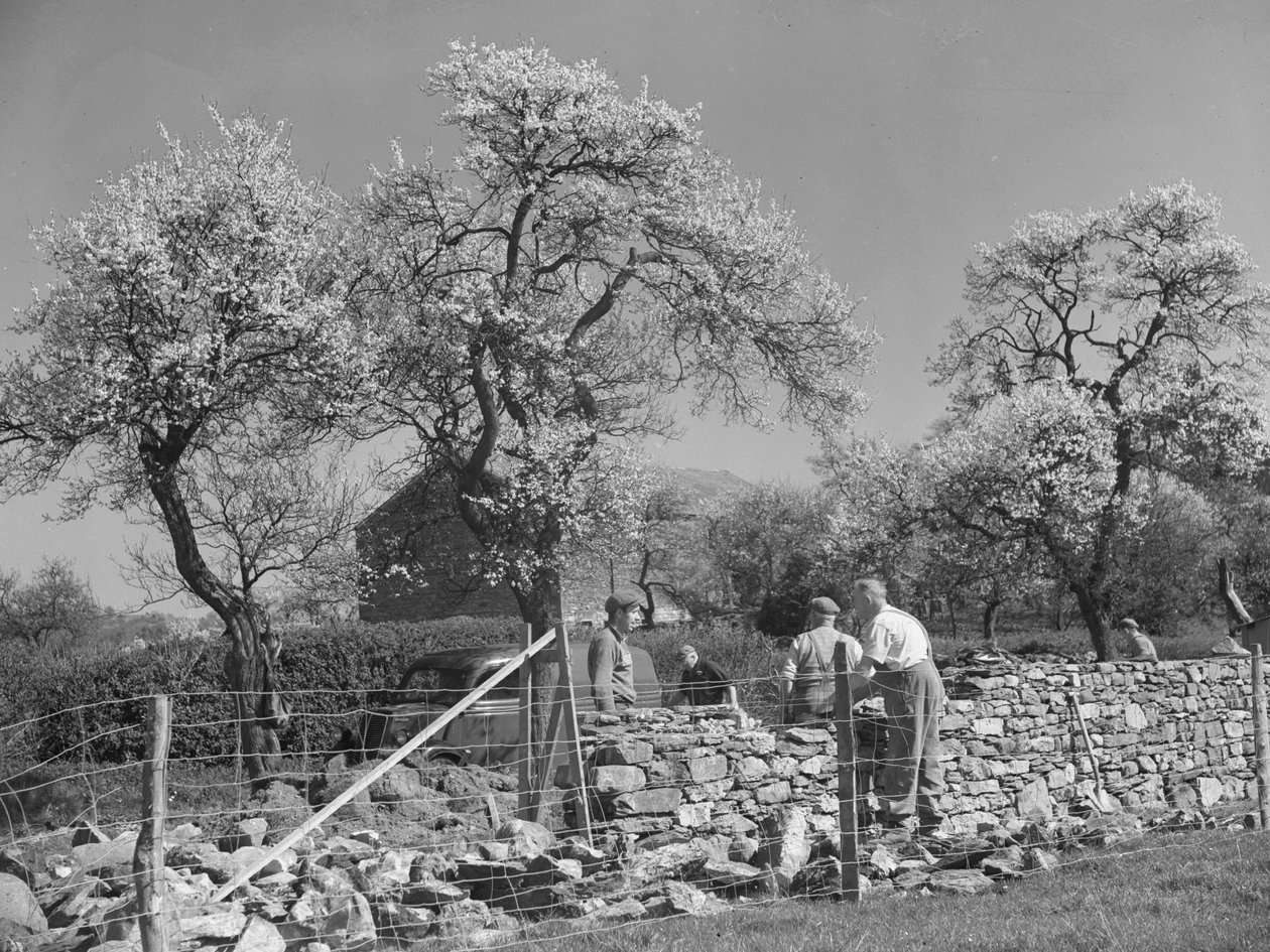 Muratori al lavoro su un muro a secco da Joseph Hardman