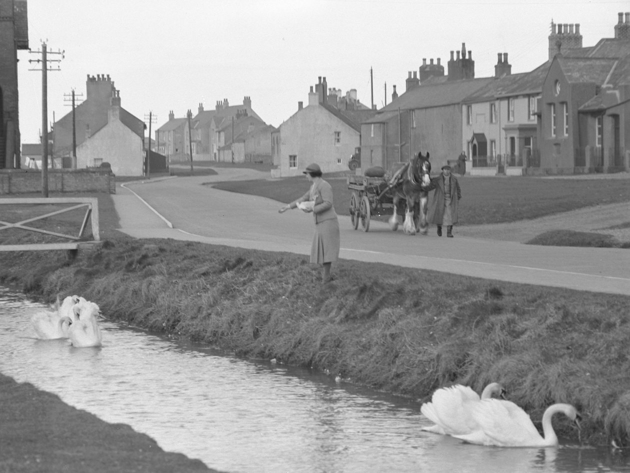 Donna che nutre i cigni ad Allonby con uomo che conduce cavallo e carro lungo la strada da Joseph Hardman