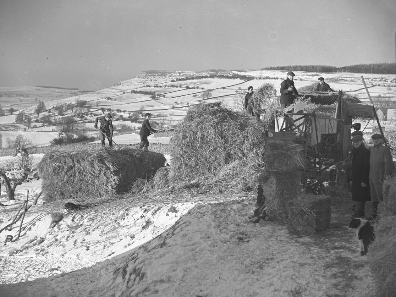 Lavoratori che trebbiano le pile vicino a Bampton da Joseph Hardman