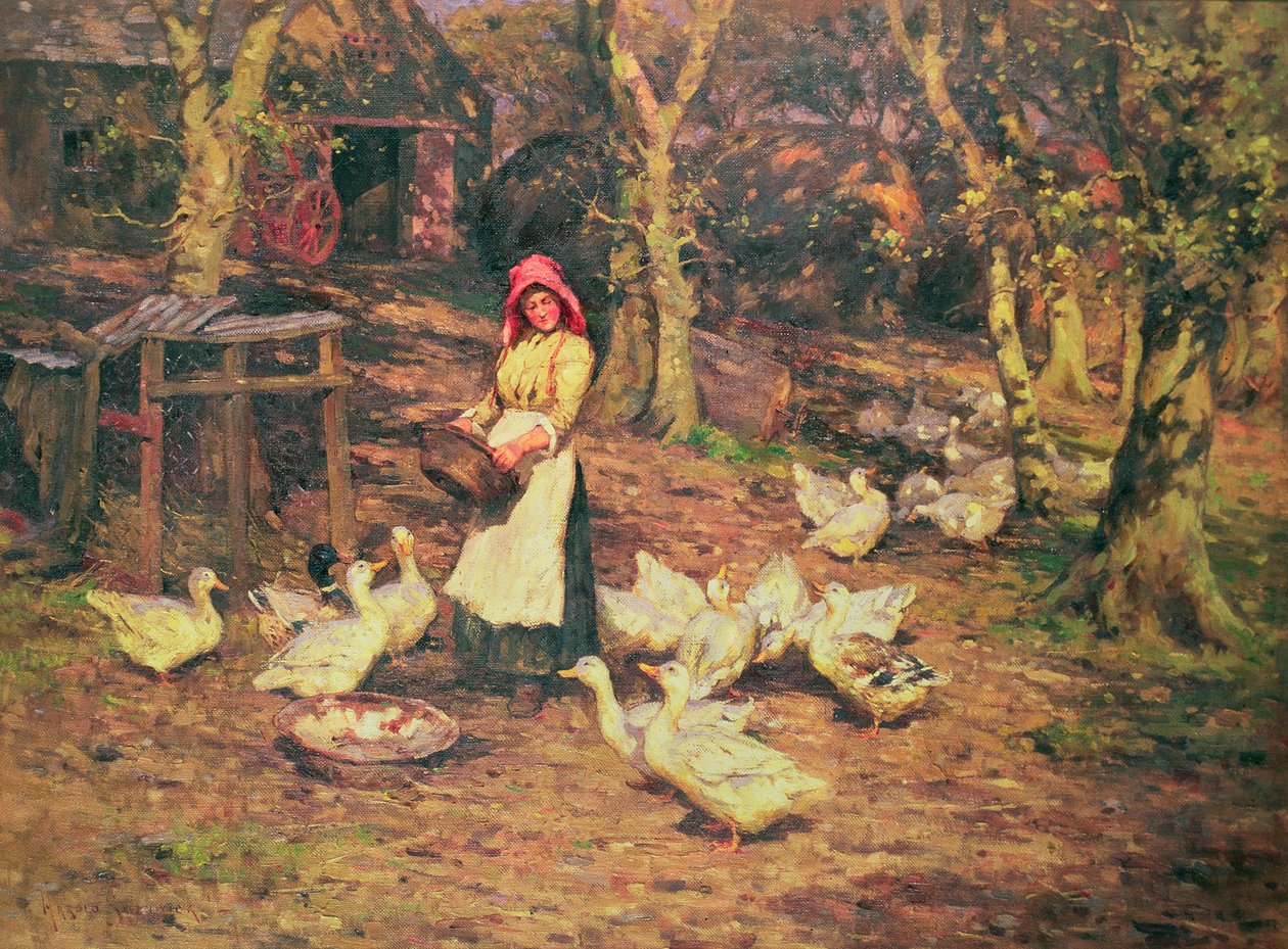 Dare da mangiare alle anatre da Joseph Harold Swanwick