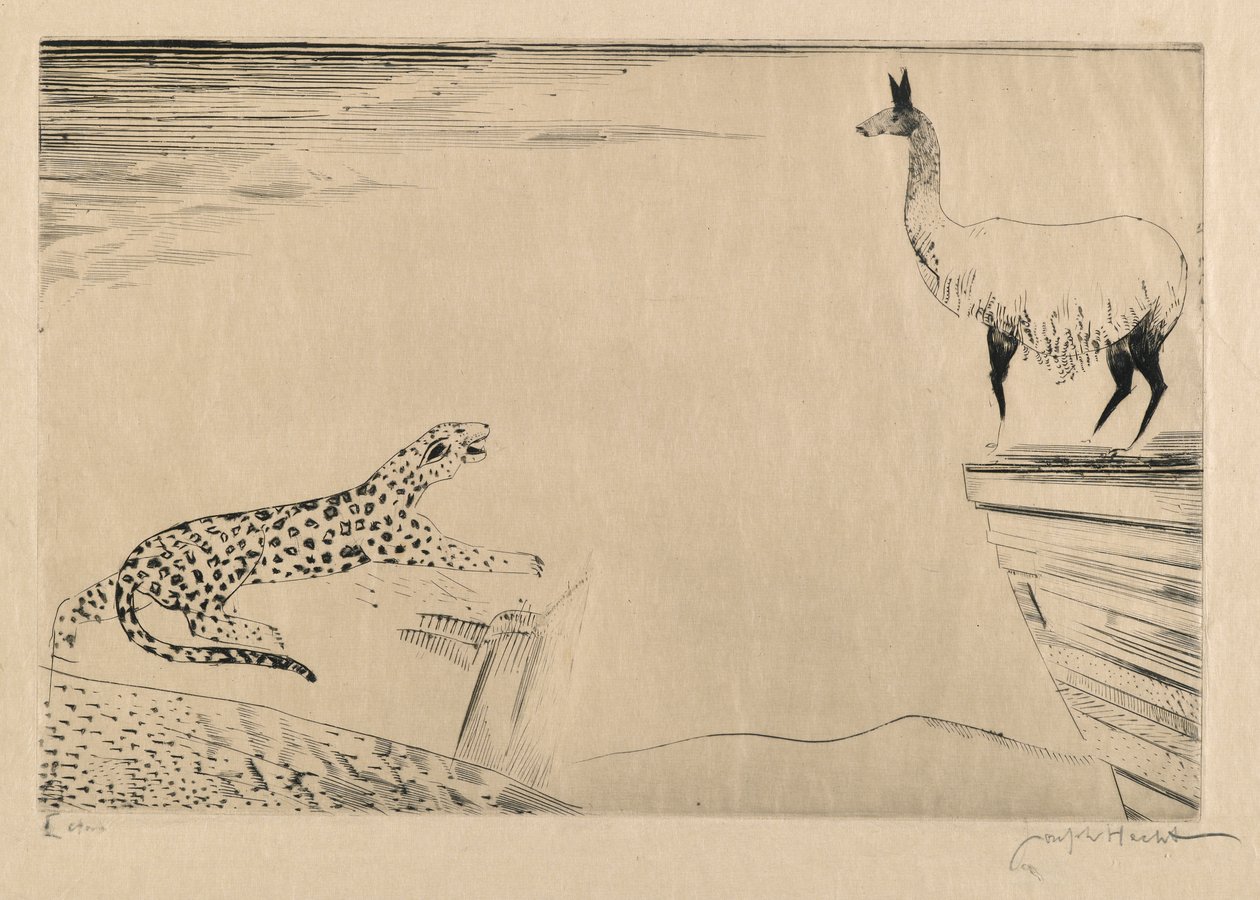 Giaguaro e lama da Joseph Hecht