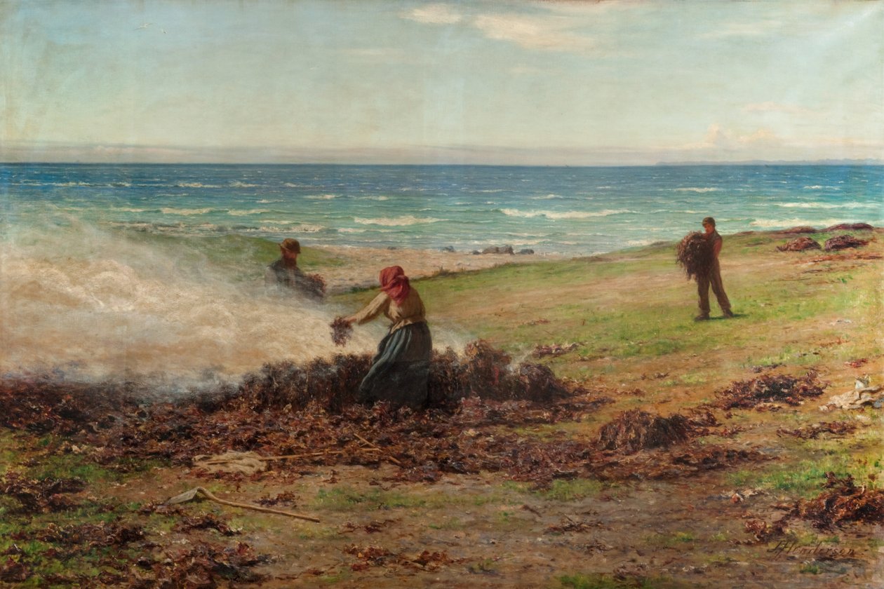 Bruciatura di Alghe da Joseph Henderson