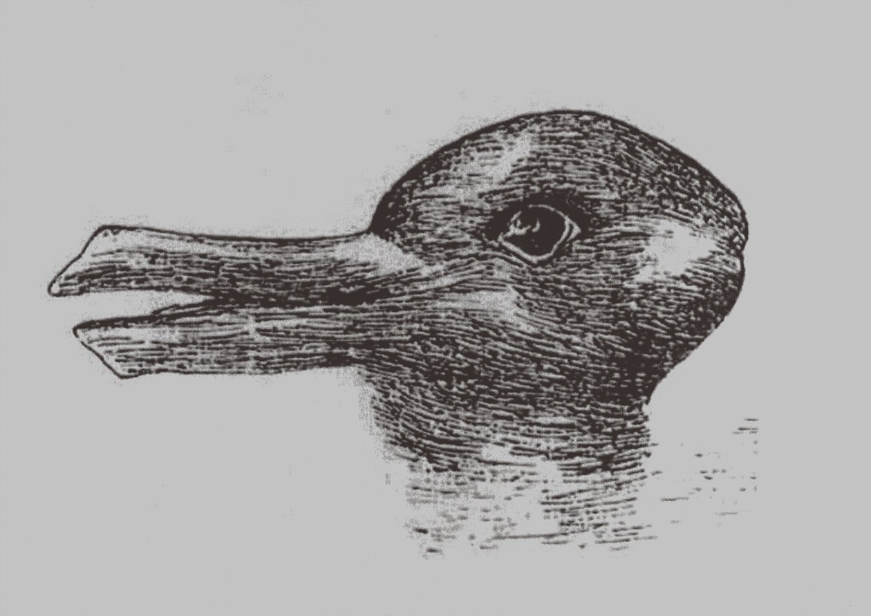 Illusione anatra-coniglio. Da: Jastrow, J. L