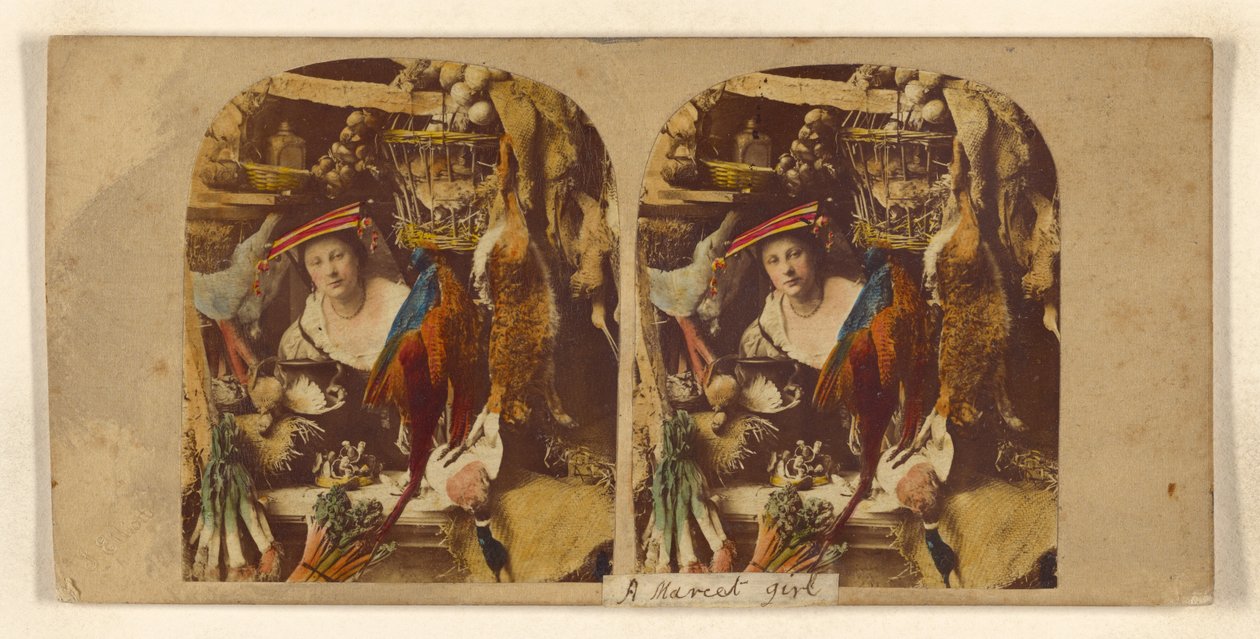 Bella anatra, signore da Joseph John Elliott