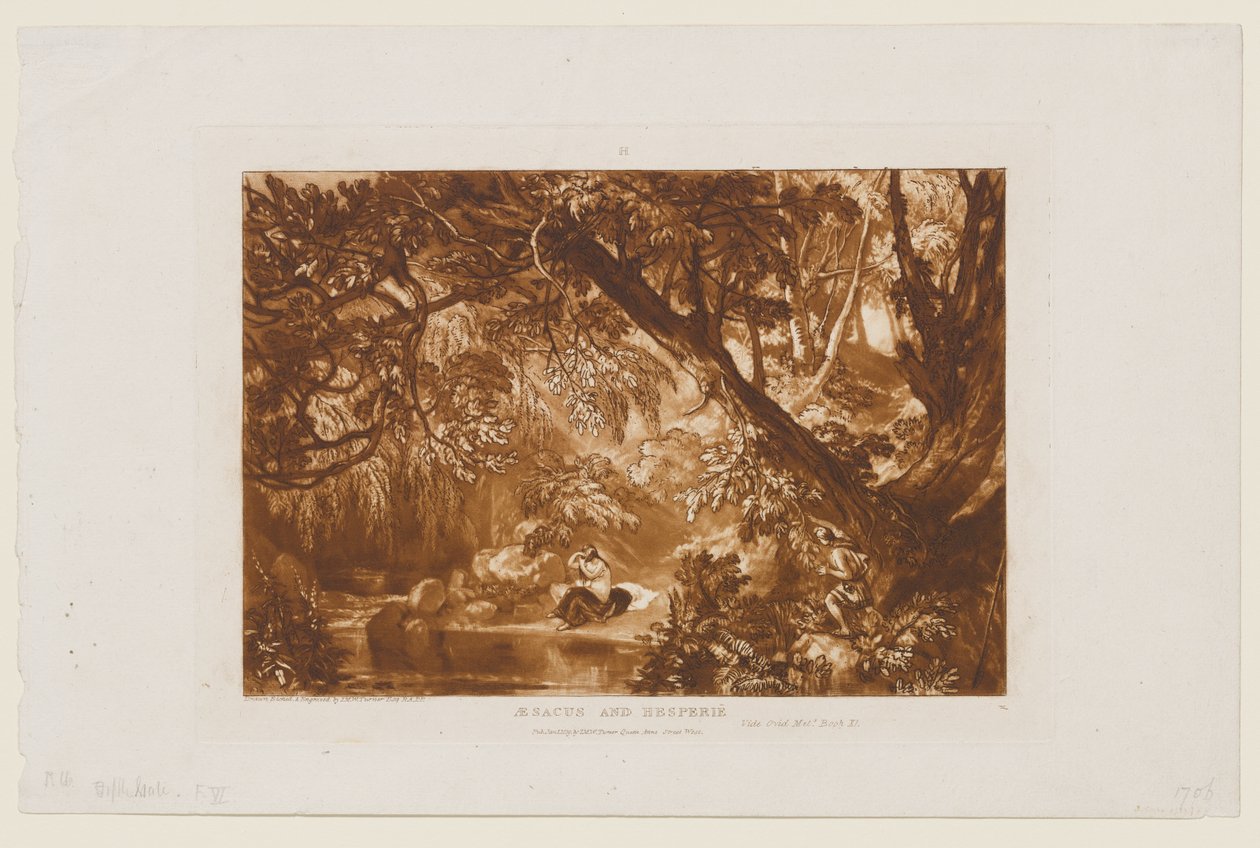 Esaco e Esperia da Joseph Mallord William Turner