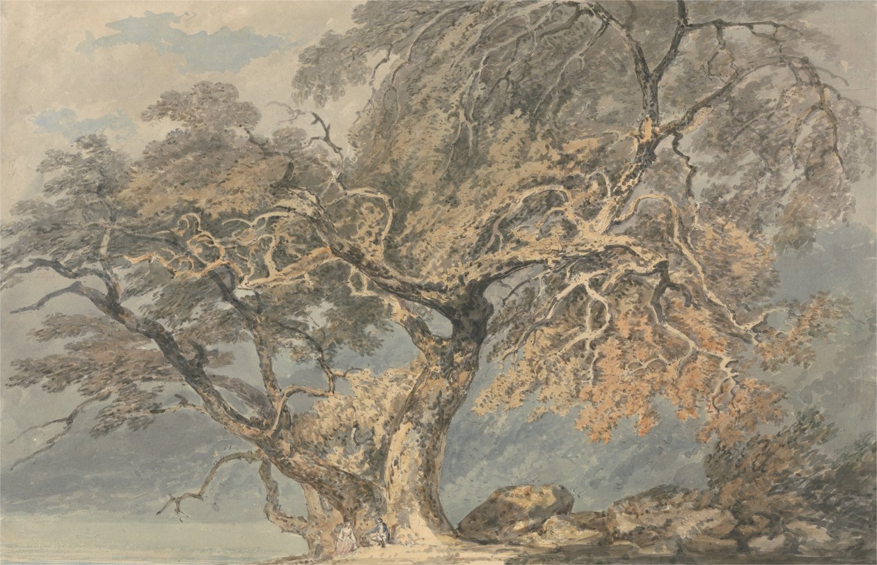 Un grande albero da Joseph Mallord William Turner