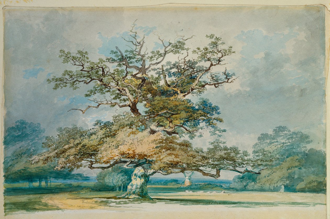 Paesaggio con una vecchia quercia da Joseph Mallord William Turner